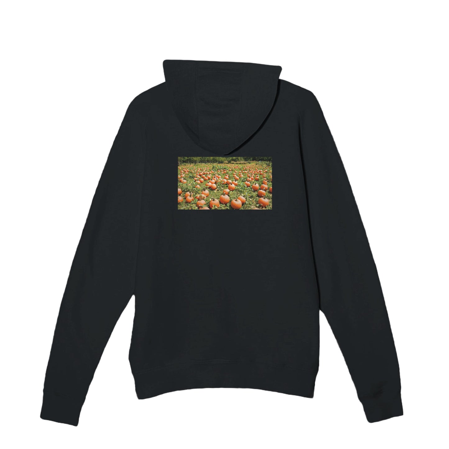 45e8c7a7-475e-46c6-9070-498ed1608ad4