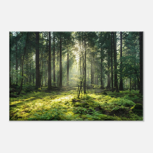 a1cab8c4-0ad9-4c9b-96e7-0f9969d2c979