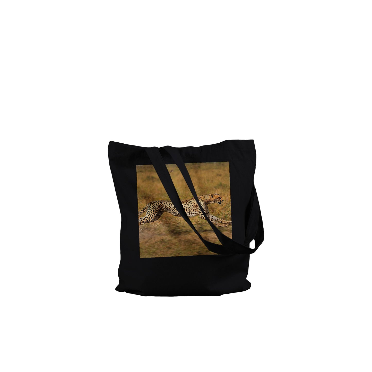 b9ae2b7c-7202-4531-bec6-77890395b892