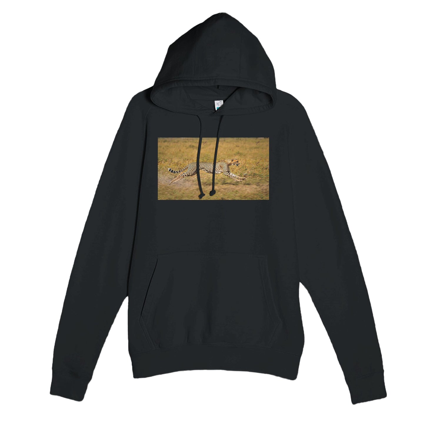 101ccb13-7931-426d-be39-550d3e5d8c92