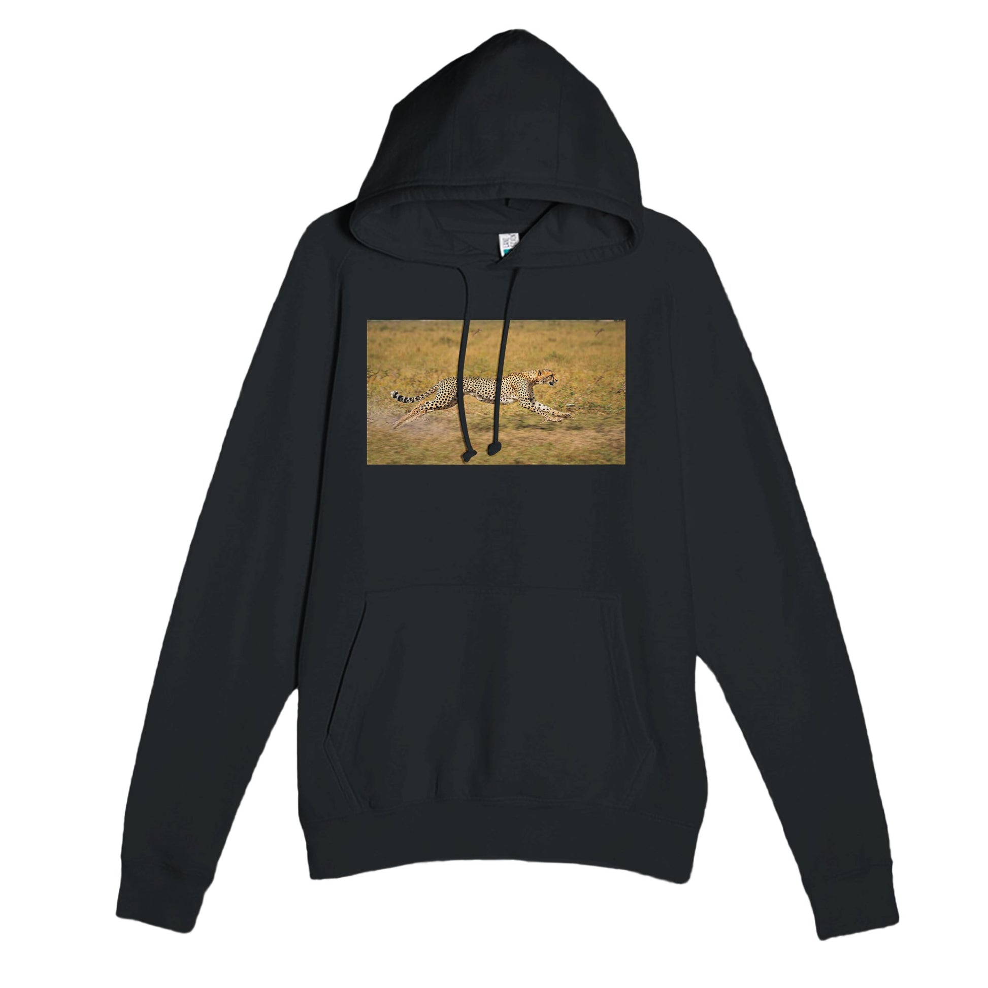 101ccb13-7931-426d-be39-550d3e5d8c92