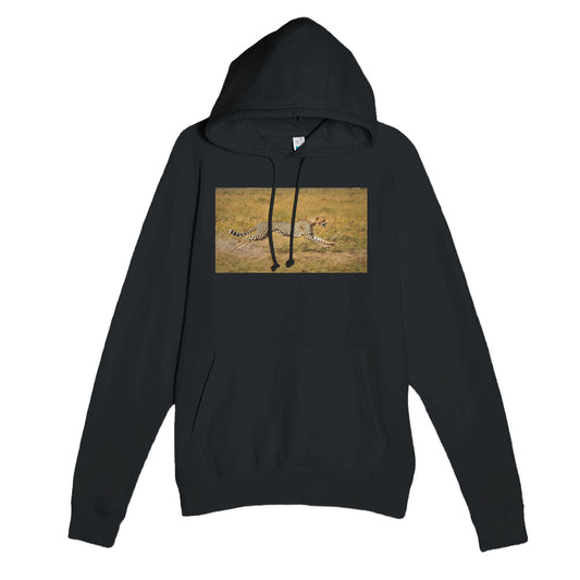 101ccb13-7931-426d-be39-550d3e5d8c92