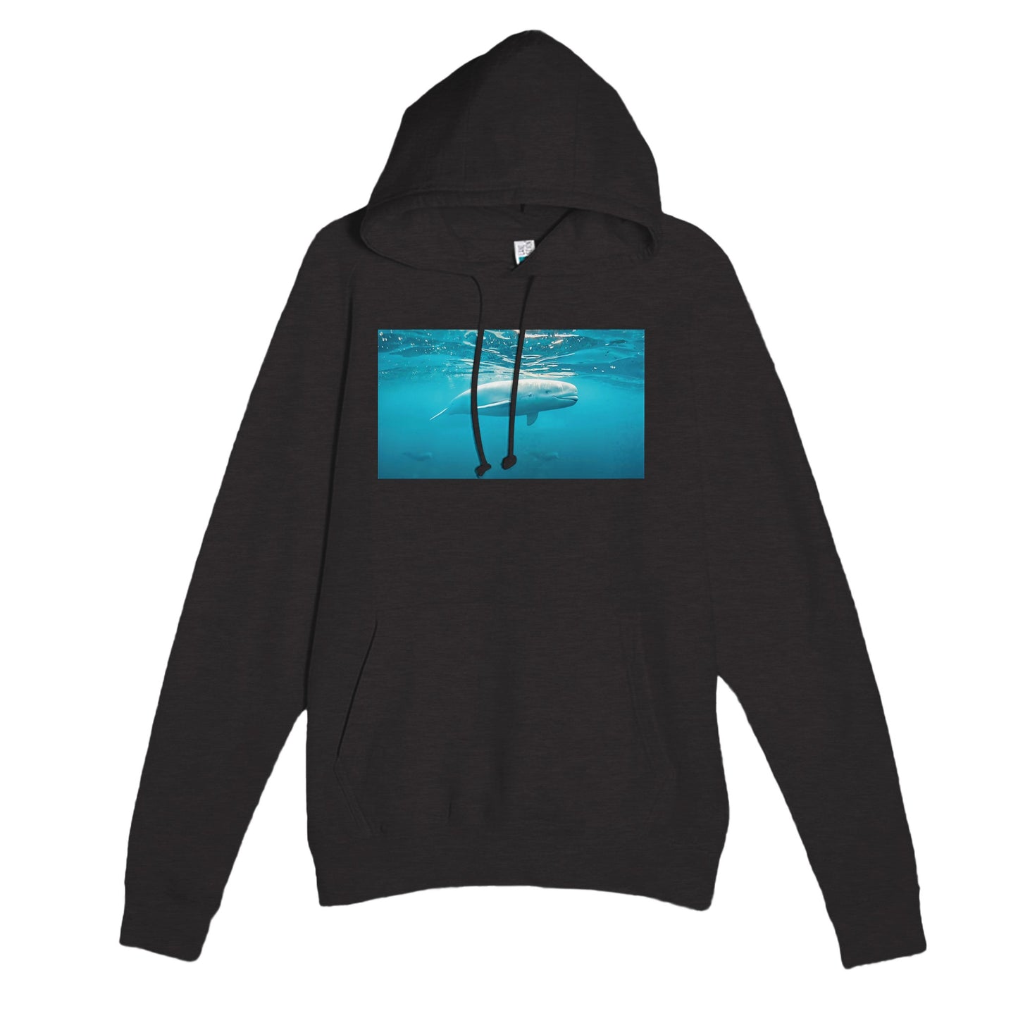 105080b5-d609-4fa9-9b80-11ac6578195b