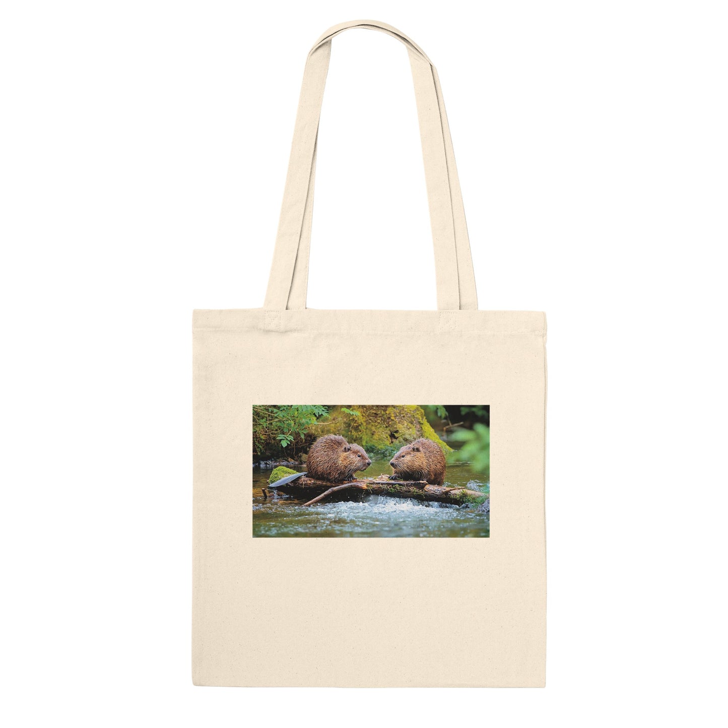 2765d743-4202-43e5-8801-bccc77b1369a