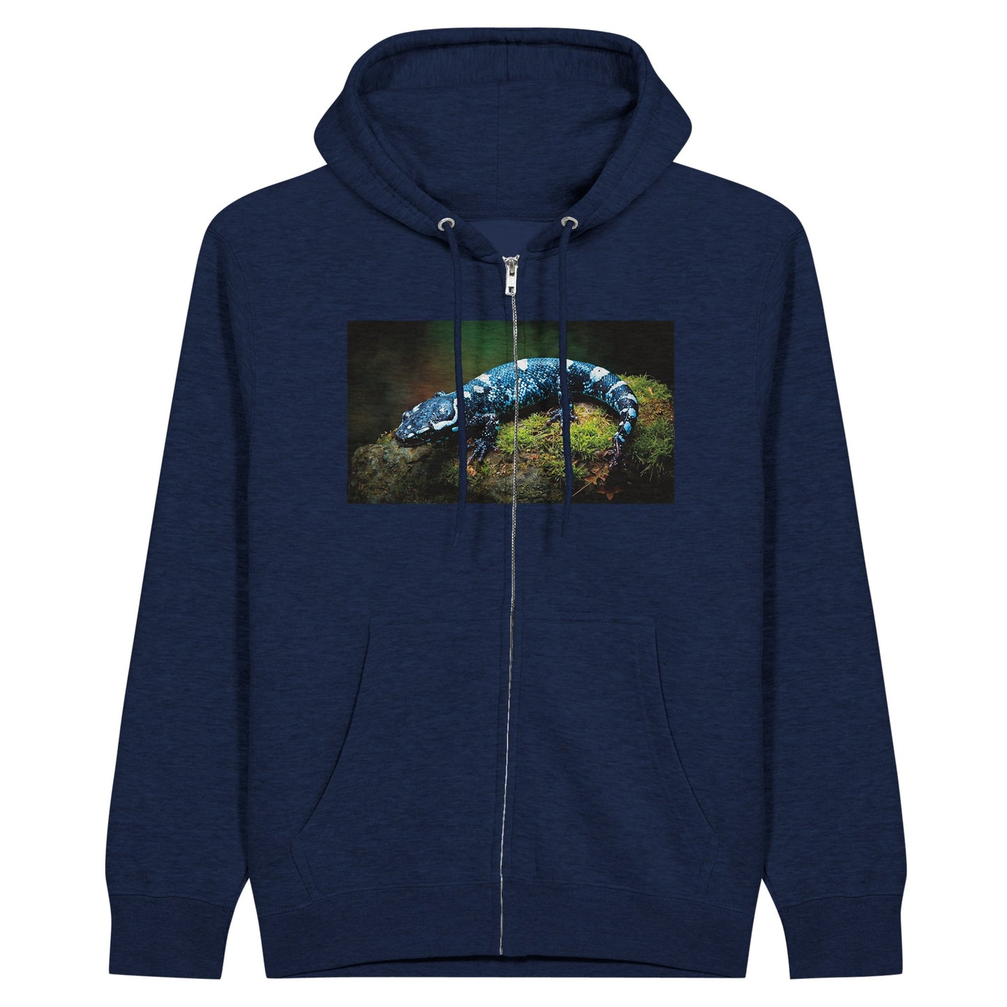 2cb2a6d6-8818-4e07-8b07-b272fb7fcc48