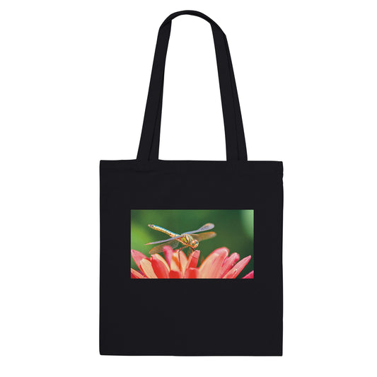 335e1b47-6d02-4a79-97d0-749d8e8a2ced