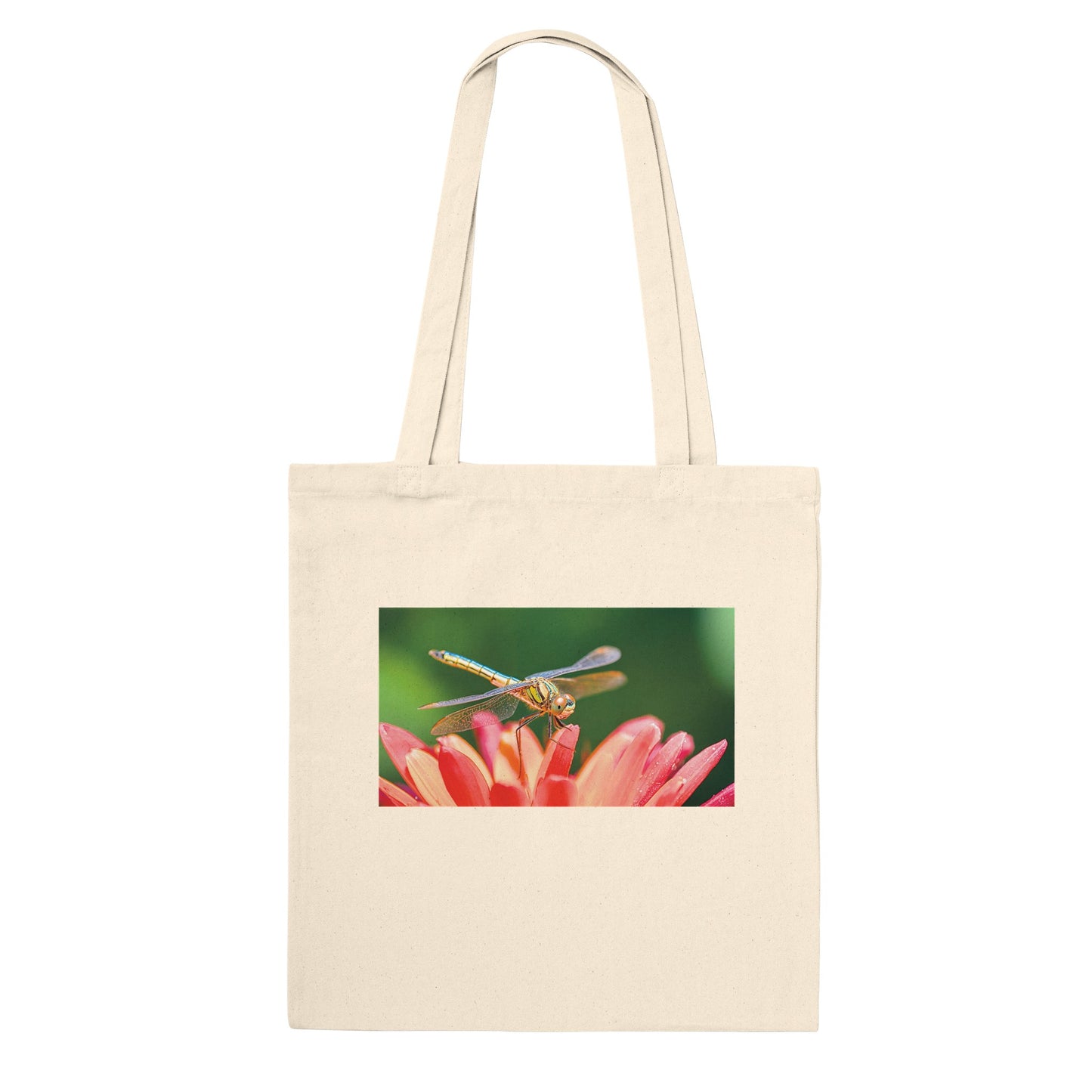 427c5baa-60bf-4845-b913-1f67c22ed819