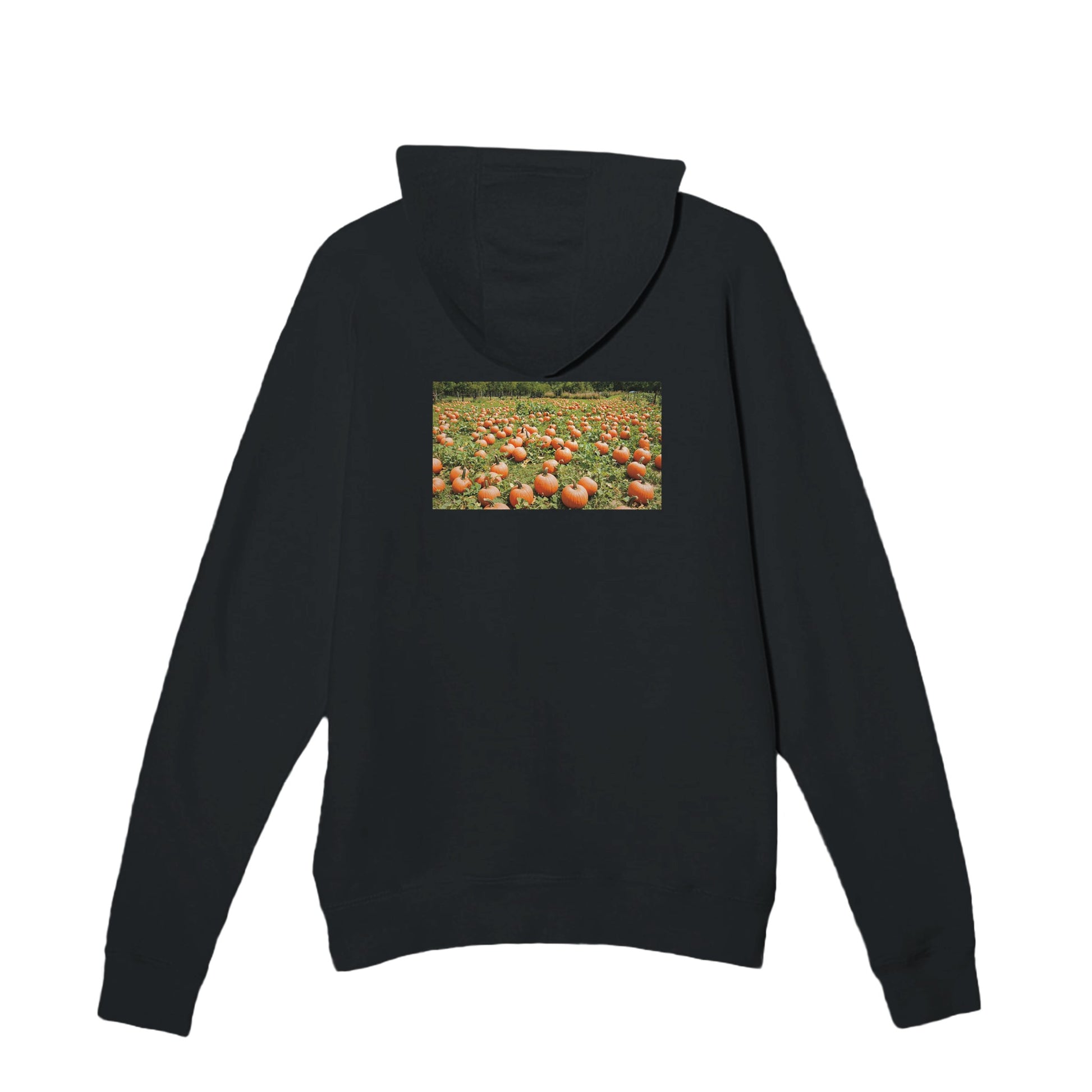 45e8c7a7-475e-46c6-9070-498ed1608ad4