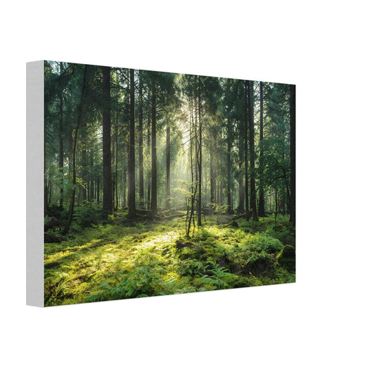 550183e6-ce28-40ac-95a9-112d91059195