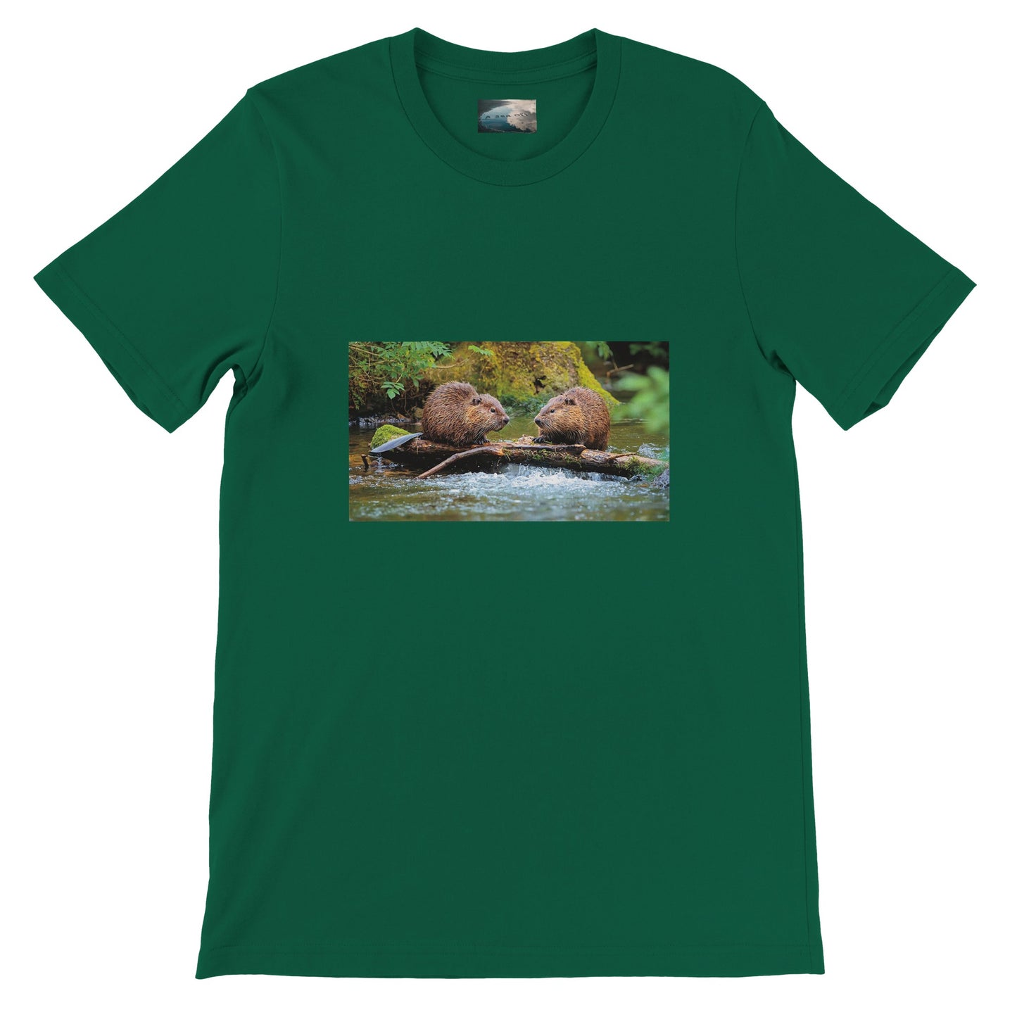 57daf0f7-6c42-4b91-b413-b265d43c1885