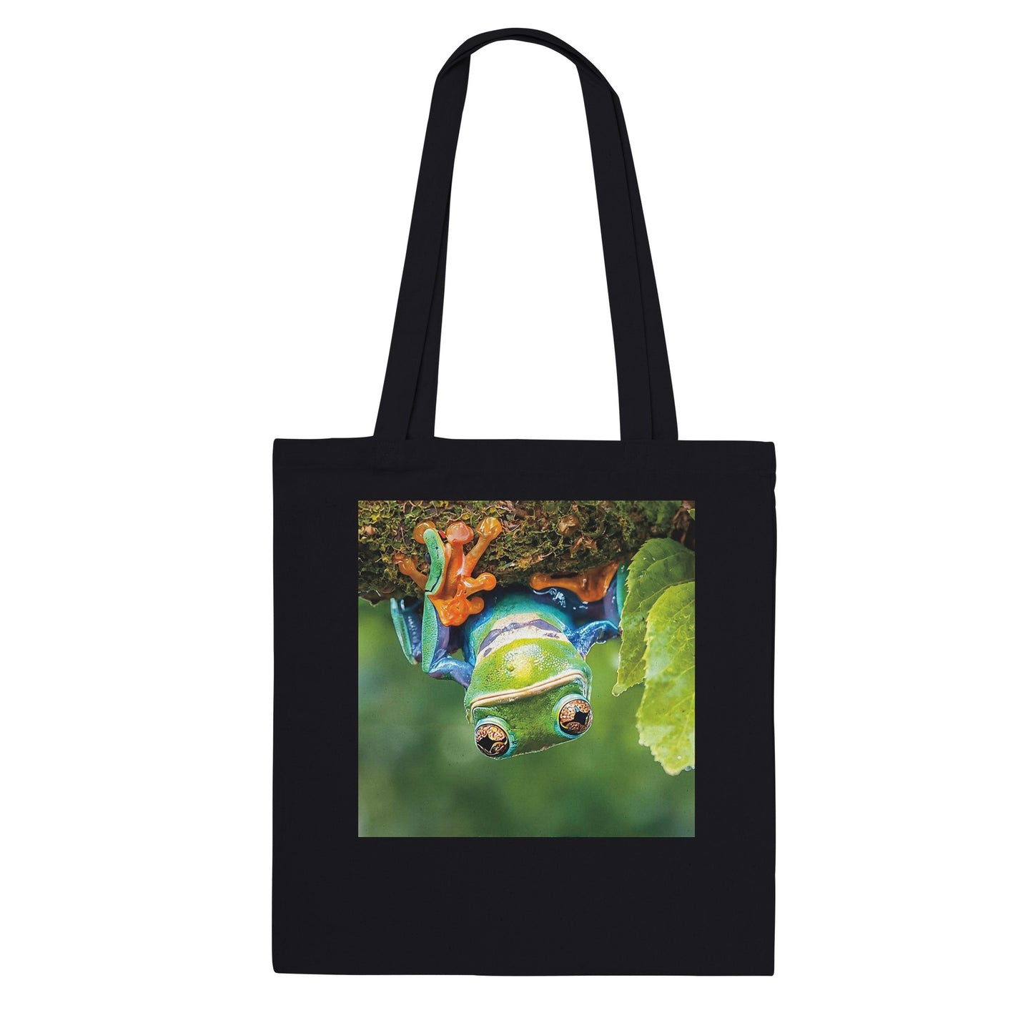 5f312b0f-bc19-430f-a042-497c4d849ab2