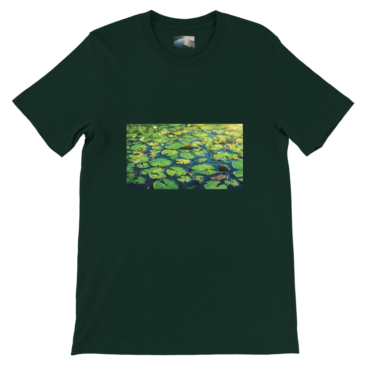 705246ef-a6bd-4225-afcb-a803655cb34c