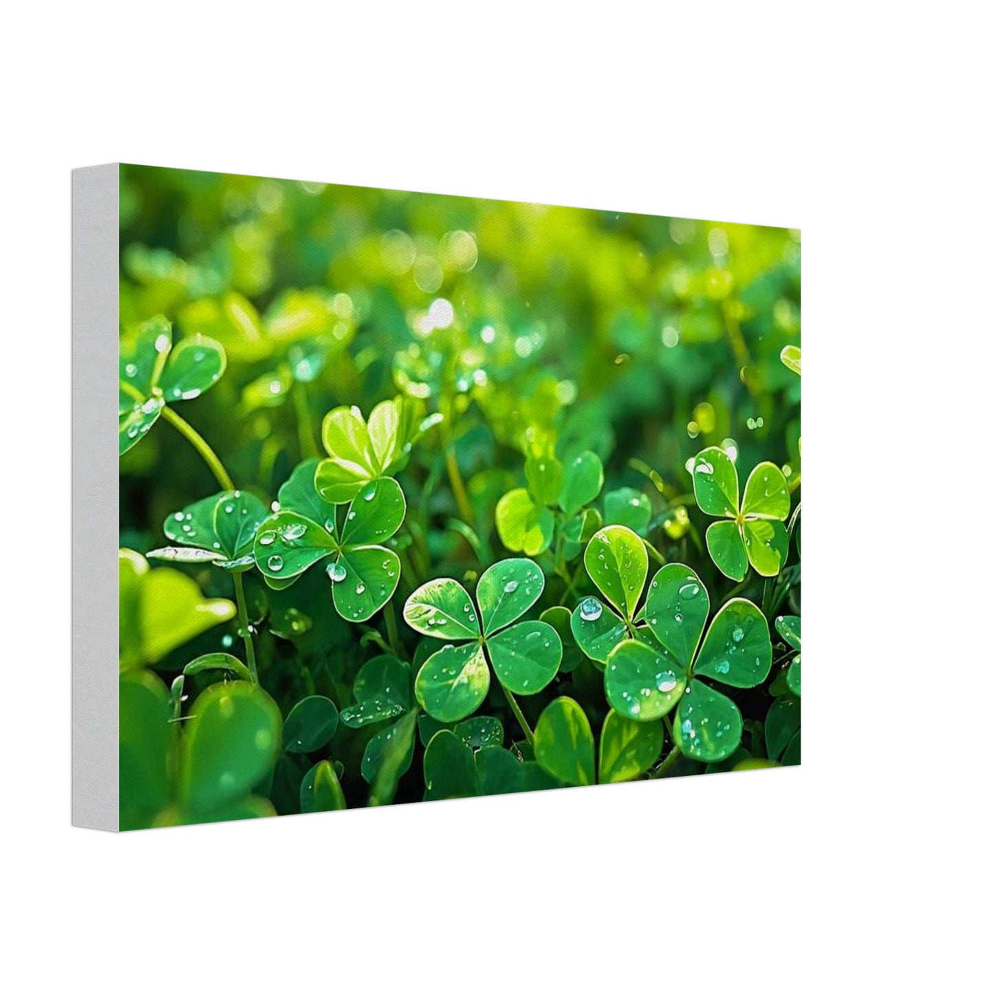 7ae4e788-8613-42a6-bd5c-b5e56f95de07