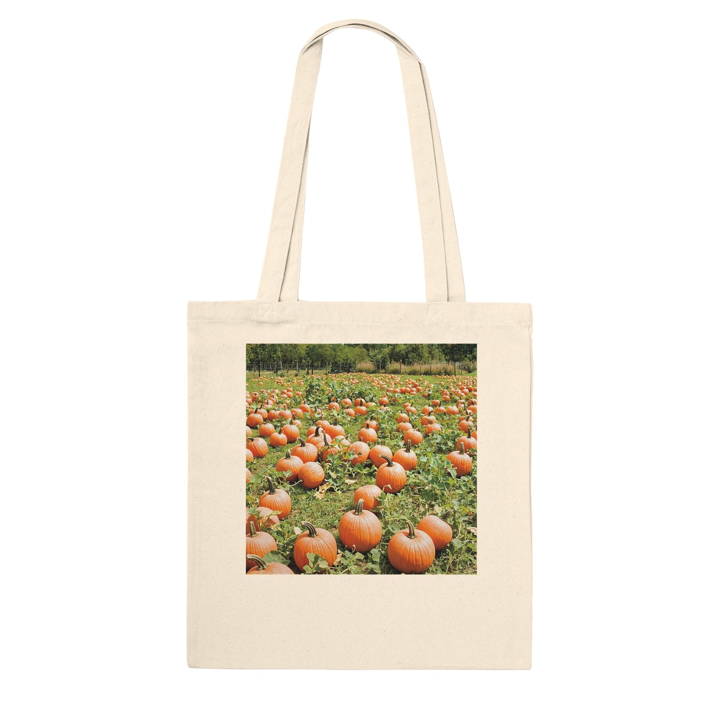 7b7a2df1-72e8-409e-8d04-cdf4c6f2a6b6