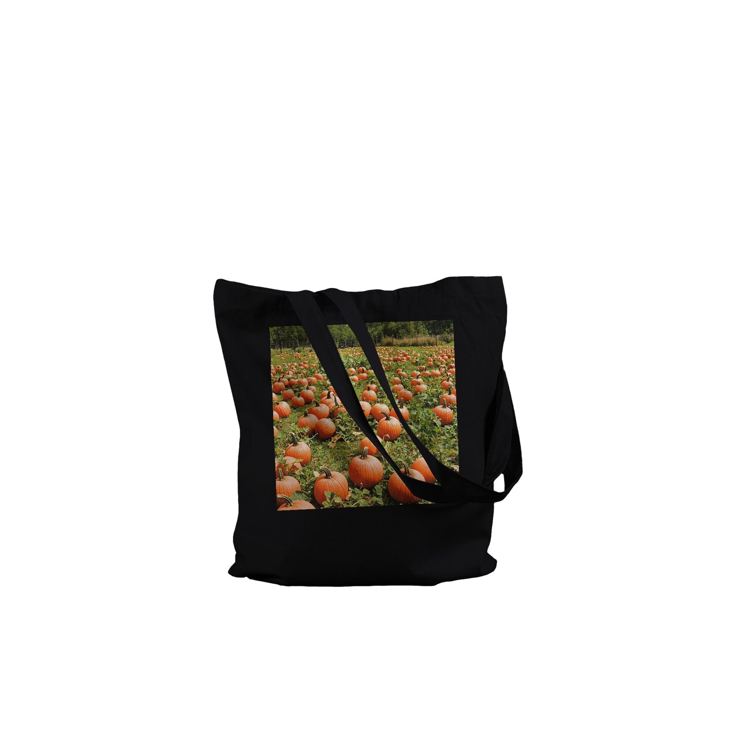 7ccdec28-3369-4f65-b619-f25ff25f77bf