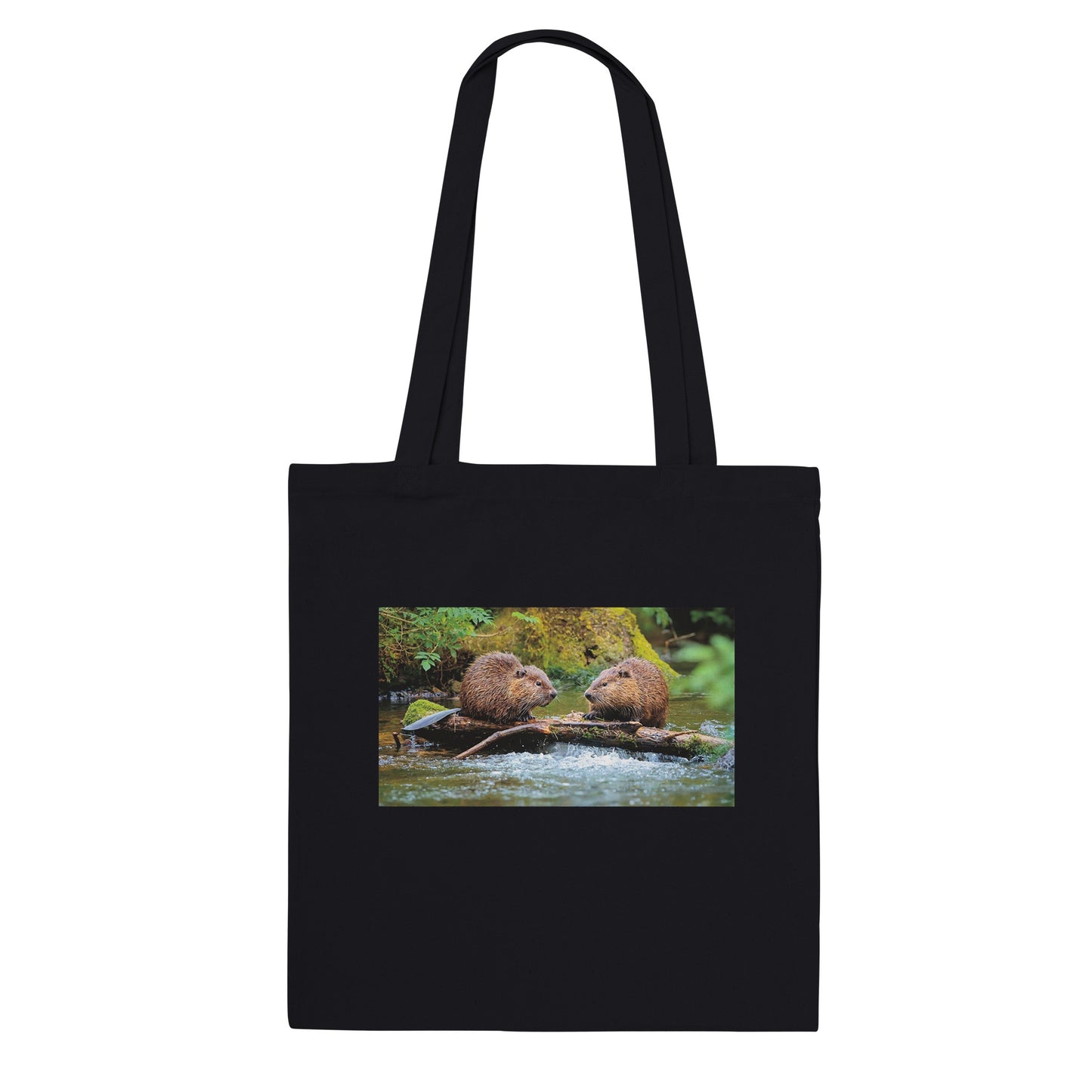 7e28c17f-fd96-445a-8b20-d2a1323c0c66