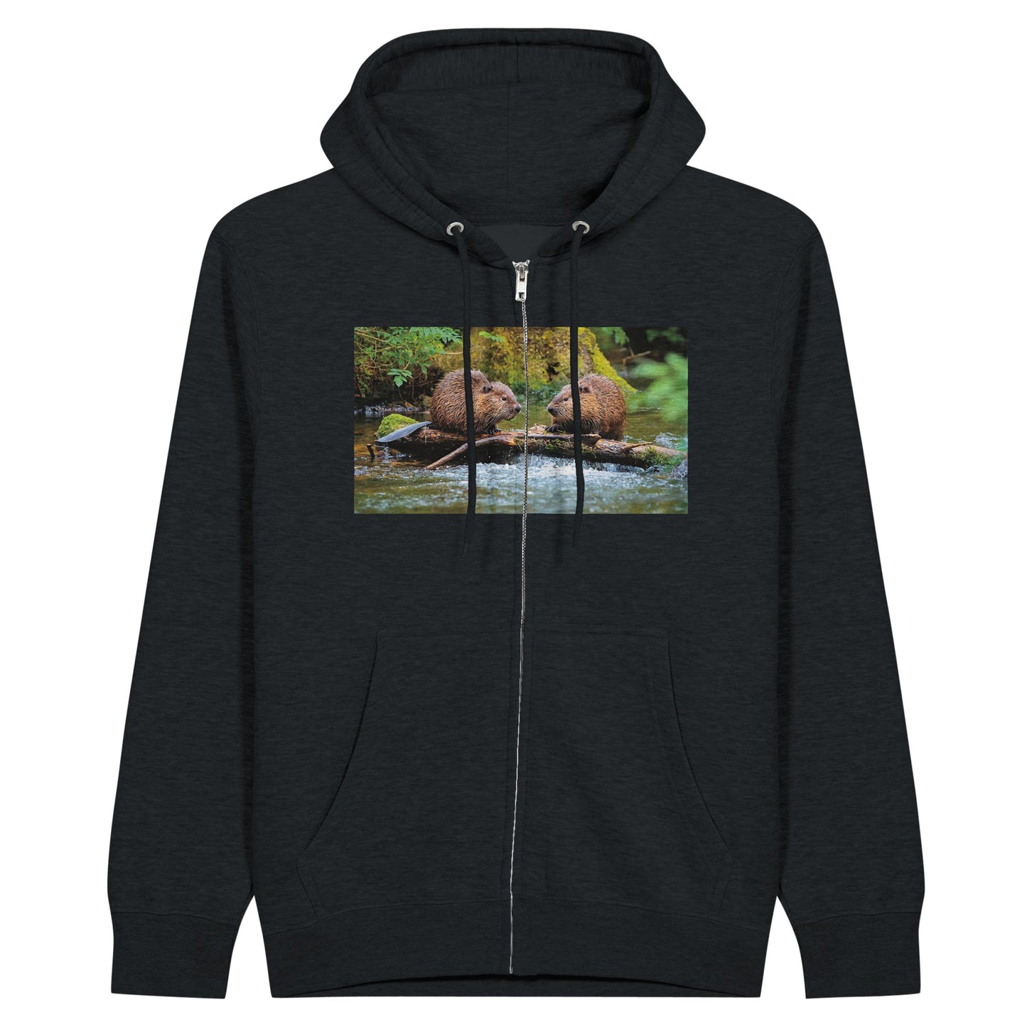 8cad29bd-6bae-450e-8daa-3e8e00b46496