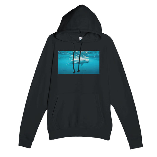 9cfdff0c-3d6f-4310-843b-dd7fbbe845db