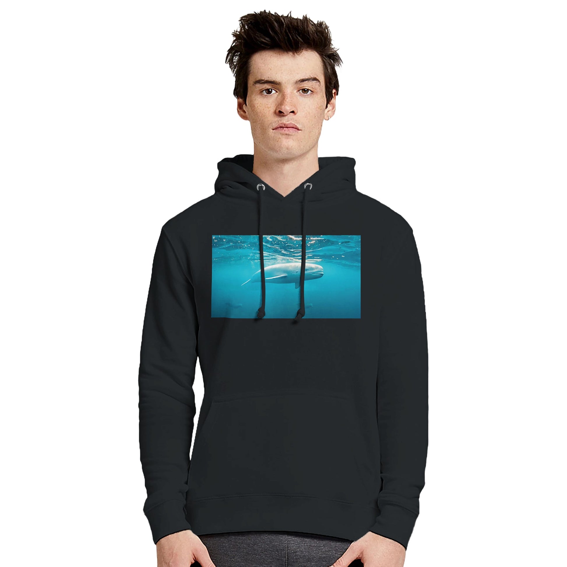 b047422d-3fff-4ca9-90bb-2166917fd8bc