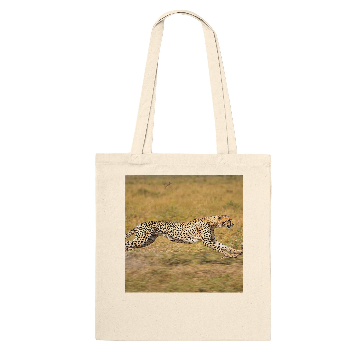 b851f8cc-255b-4f95-967b-6e600c8fac78