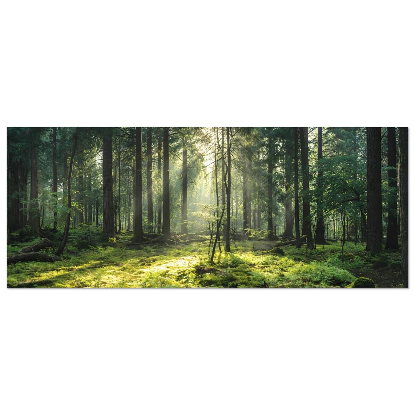 c67622d8-2946-4557-832c-e647674b5023