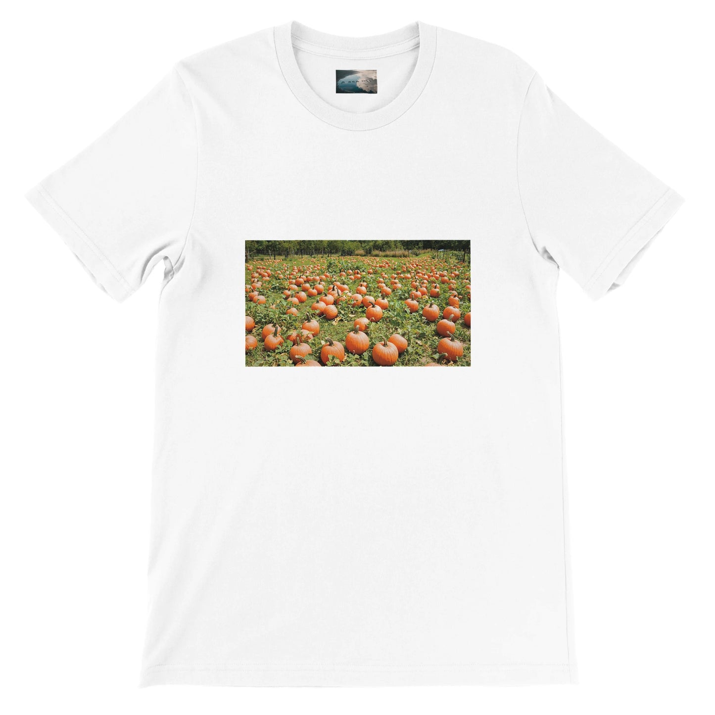 cf2c7af1-0385-4abe-ab34-b2ea7a74e42b