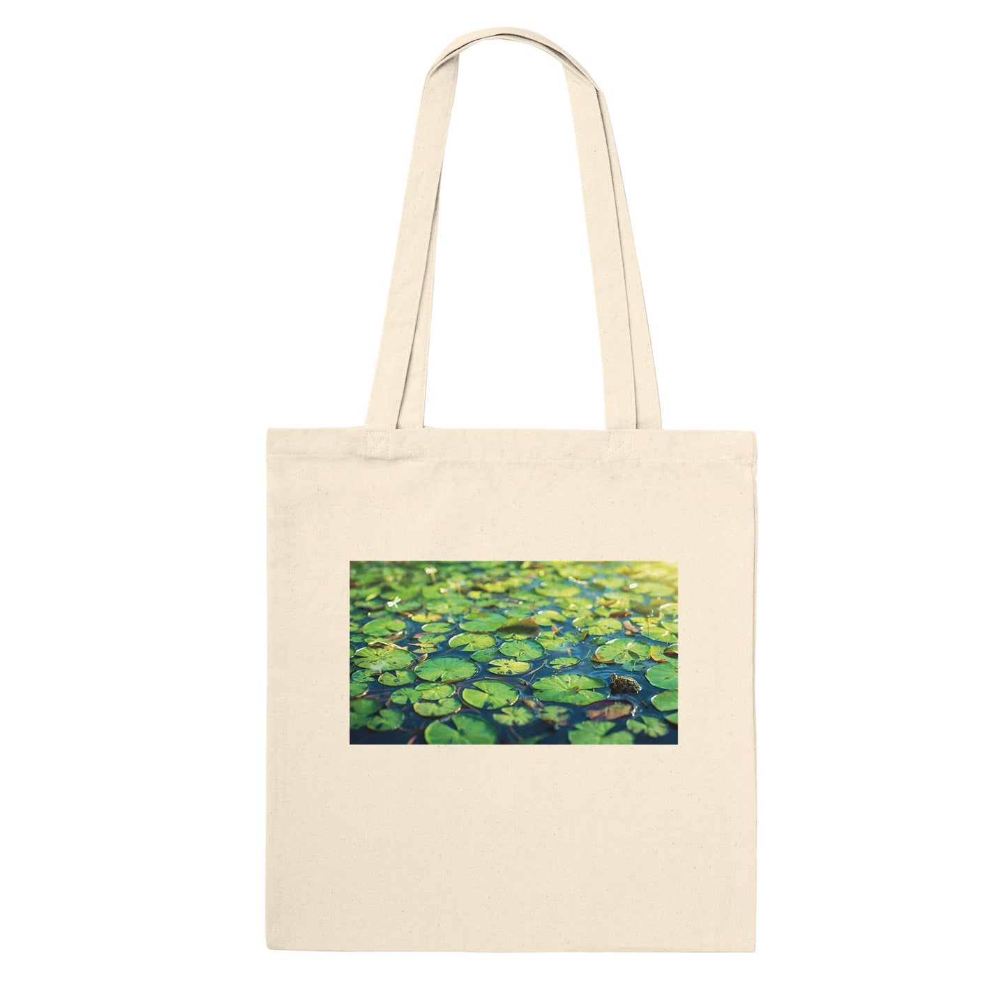 d20e920c-af26-4d10-8615-5099b3bd1281