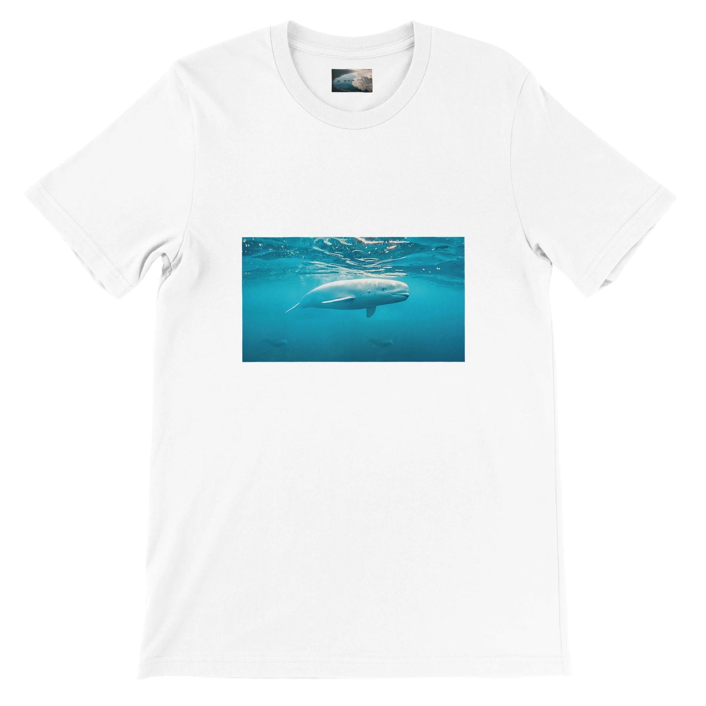 e3207e60-ed0a-4493-9077-88cf79960fd3