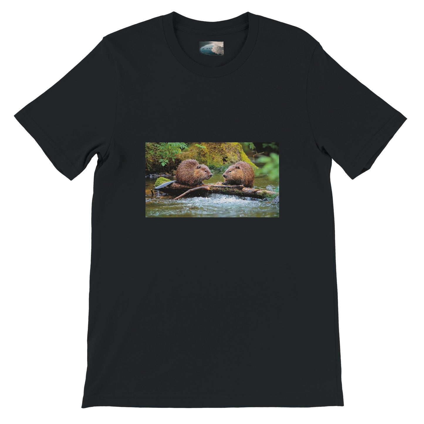 eef46985-4472-4940-b276-7b4b013060e0