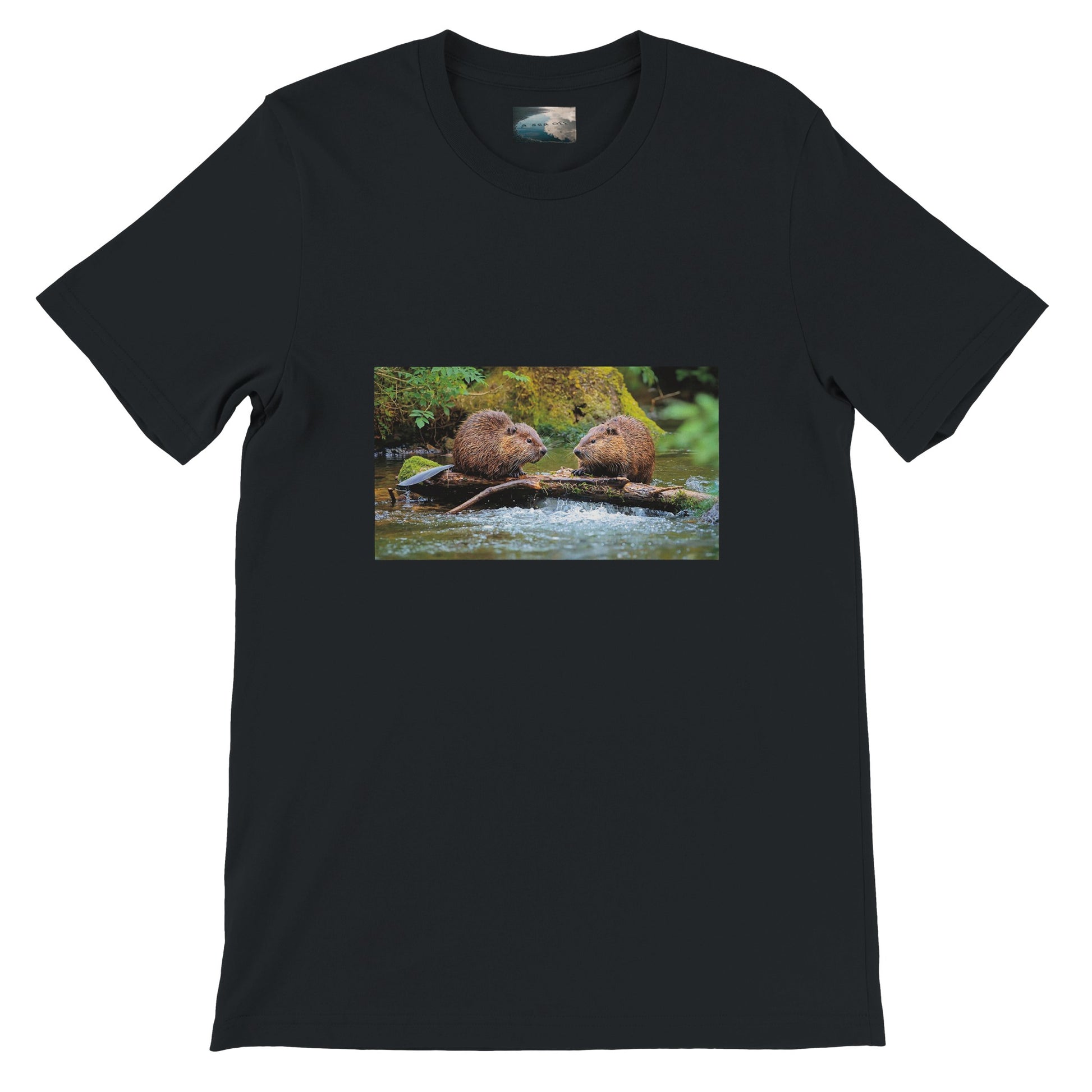 eef46985-4472-4940-b276-7b4b013060e0