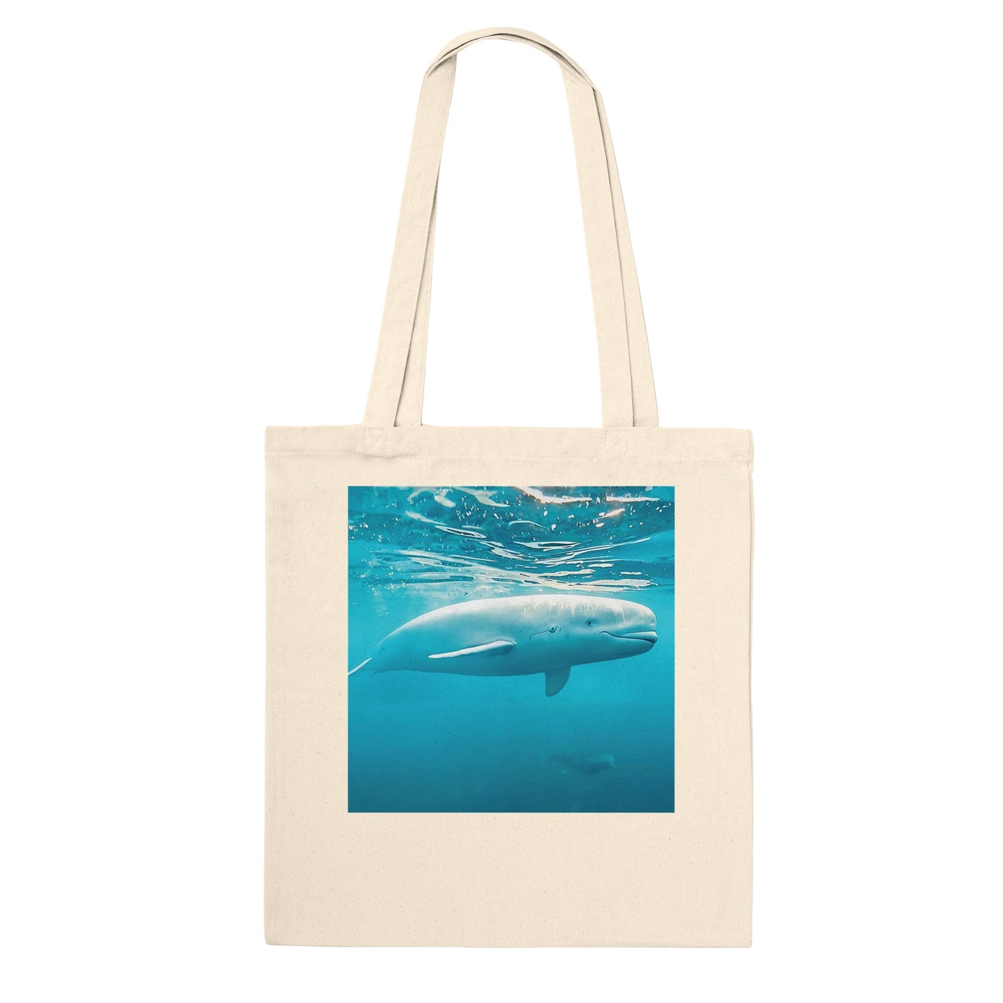 ef12a436-a80d-44ce-8c48-20854b026a9c