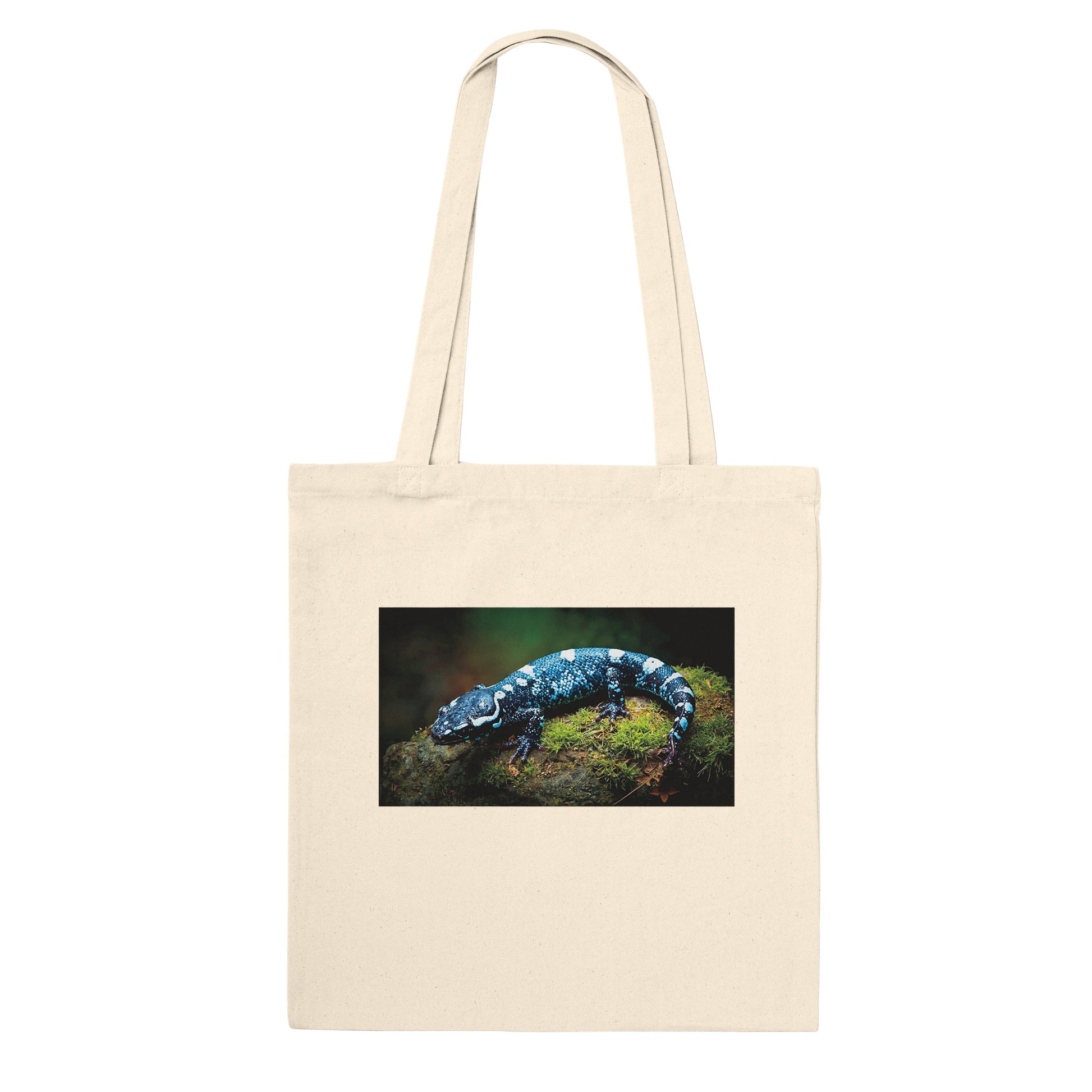 f435185f-e902-4b77-9cfd-bd399e728a0b